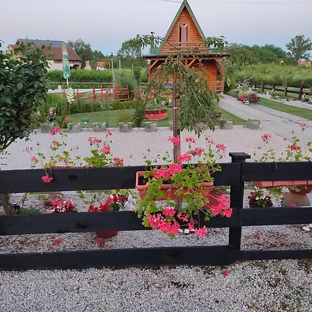 Dolina Mumijevih